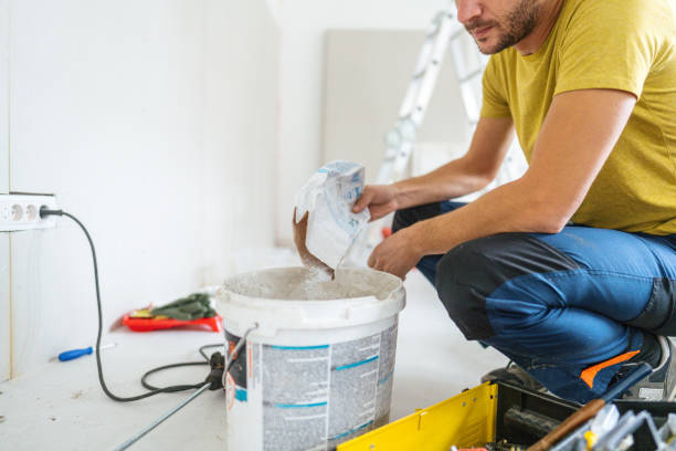 Best Industrial Mold Remediation  in Santee, SC