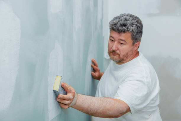Best Mold Documentation for Insurance Claims  in Santee, SC